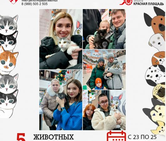 Итоги выставки в Мегацентре 